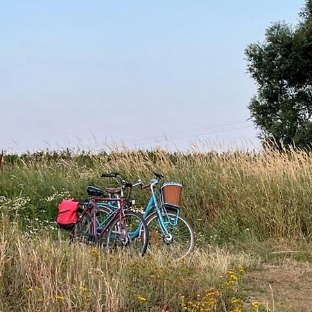 Lwb Ferienwohnung "Auszeit Im Denkmal" Wittenberg Exterior foto