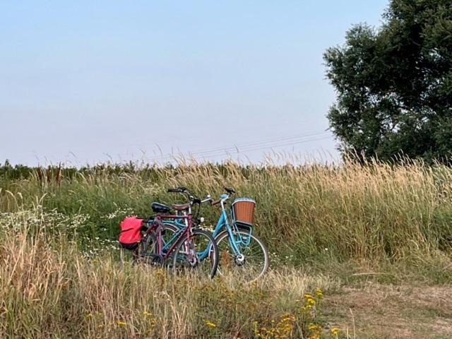 Lwb Ferienwohnung "Auszeit Im Denkmal" Wittenberg Exterior foto